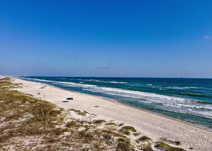 Lost Shaker Of Salt * Gulf Shores